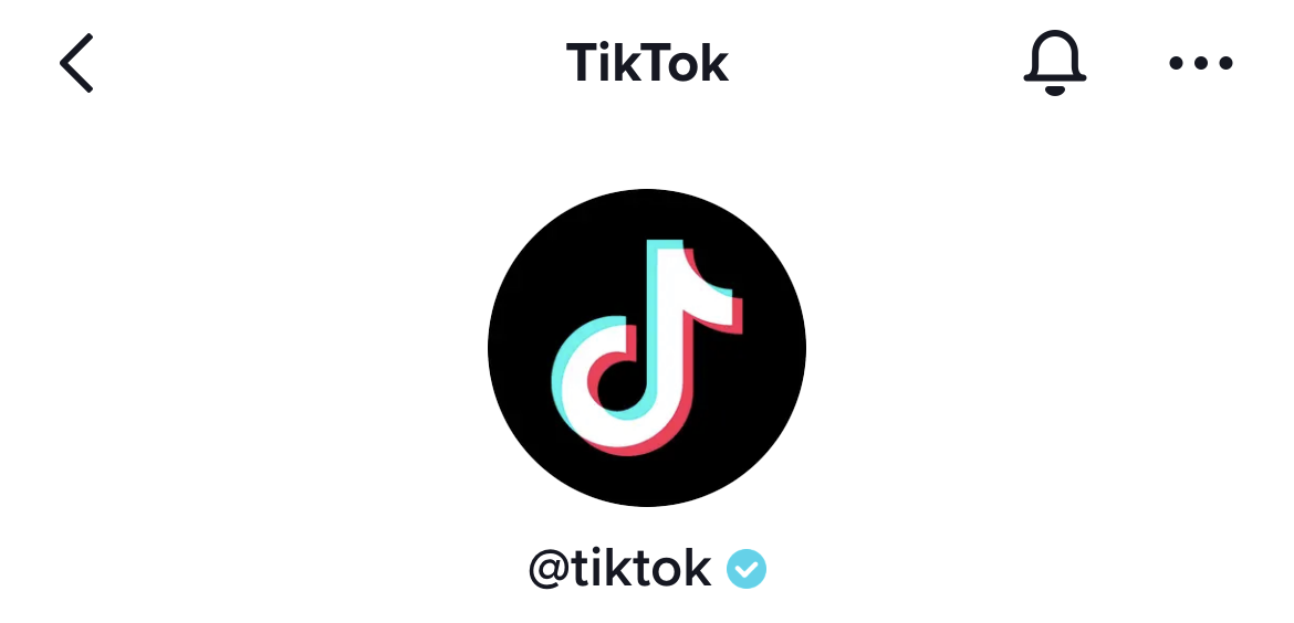 how to get verified on tiktok
